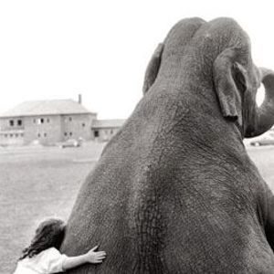 Meet your Posher, Chim